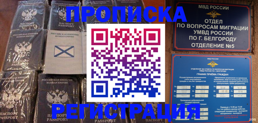 прописка гарантия в Кяхте